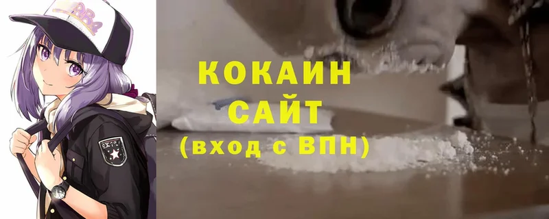 купить закладку  mega ссылки  COCAIN 99%  Снежногорск 